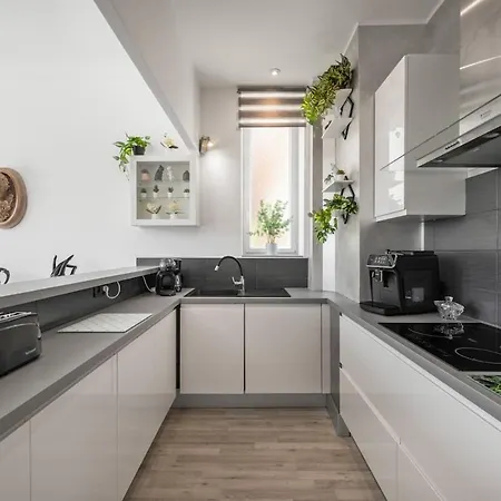 Le Coq Meridien - Parking - Ac - Wi-fi - Monaco Border Apartament